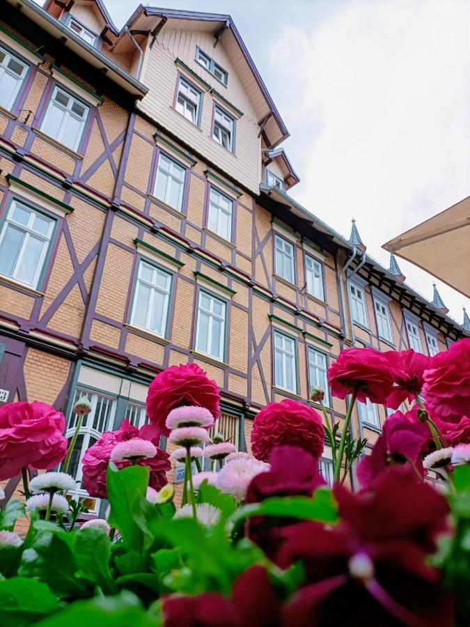 Apartment Bergsteigerbude *